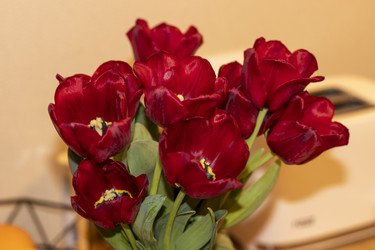 Similar image 22075735