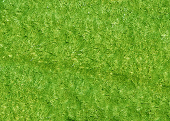 Similar image 22075547