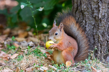 Similar image 22075987