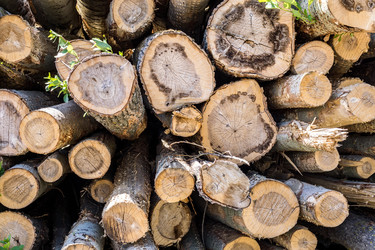 Similar image 22076006