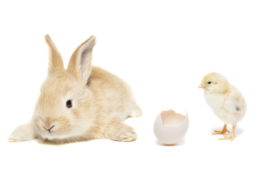 Similar image 22076009