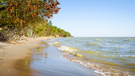 Similar image 22076215