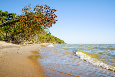 Similar image 22076217