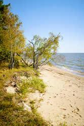 Similar image 22076219