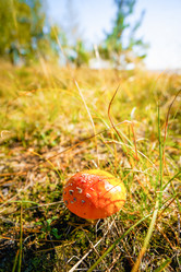 Similar image 22076220