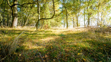 Similar image 22076223