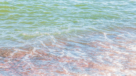 Similar image 22076225