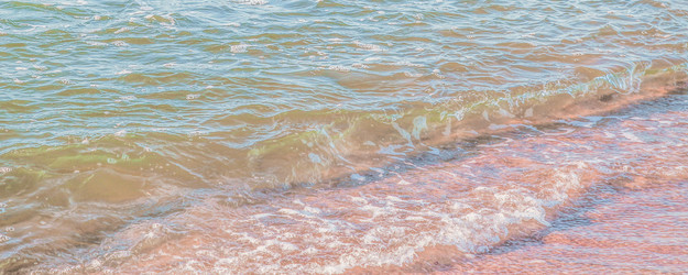 Similar image 22076237