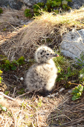 Similar image 22075738