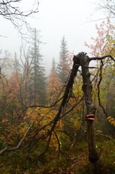 Similar image 22075746