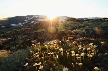 Similar image 22075747