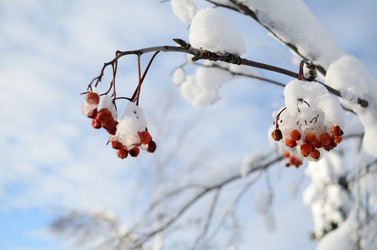 Similar image 22075748