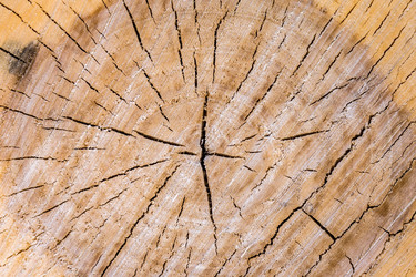 Similar image 22079538