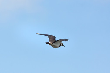 Similar image 22079539