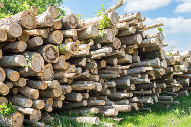 Similar image 22079543