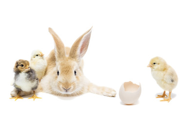 Similar image 22079544