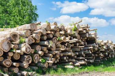 Similar image 22079545