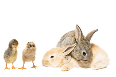 Similar image 22079556