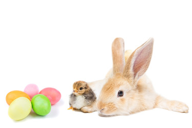 Similar image 22079558