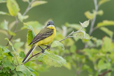 Similar image 22079567