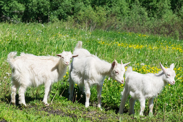 Similar image 22079568