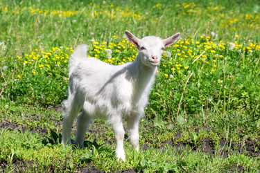 Similar image 22079570