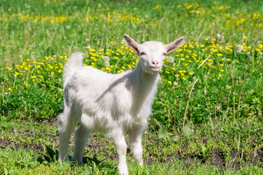 Similar image 22079572