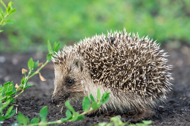 Similar image 22079576