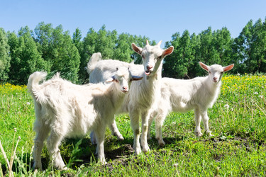 Similar image 22079580