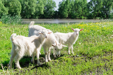 Similar image 22079582