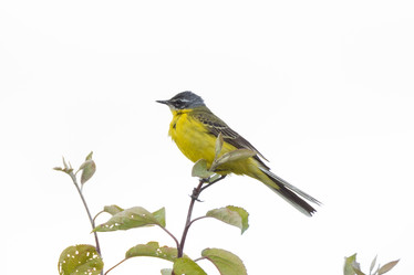 Similar image 22079583