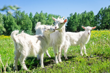 Similar image 22079584