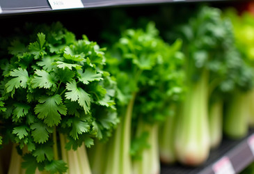 Similar image 22085916