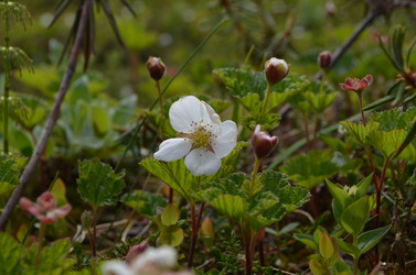 Similar image 22077094