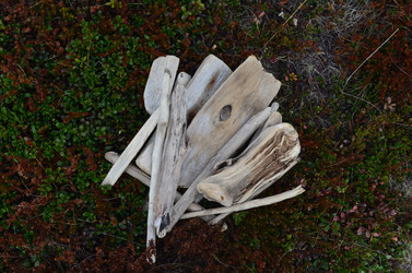 Similar image 22077096