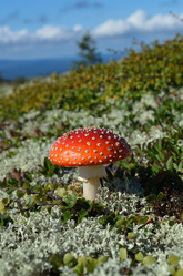 Similar image 22077097