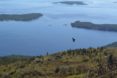 Similar image 22077098