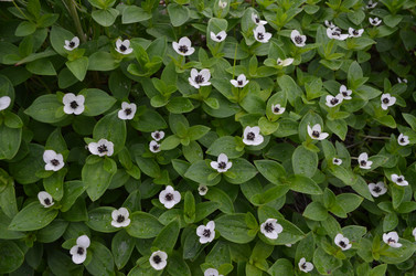 Similar image 22077099