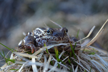 Similar image 22077100