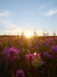 Similar image 22077102