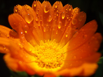 Similar image 22077103