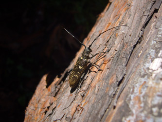 Similar image 22077104