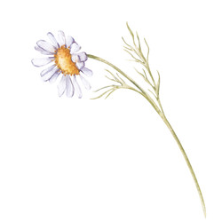 Similar image 22079839