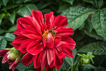 Similar image 22076277