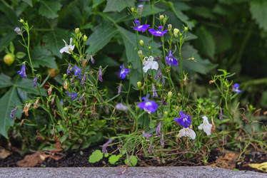 Similar image 22076278