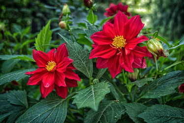 Similar image 22076280