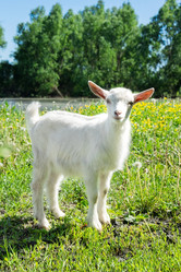 Similar image 22079588