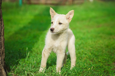 Similar image 22078672