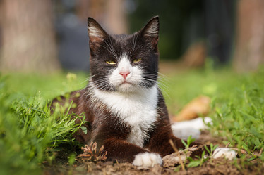 Similar image 22078908