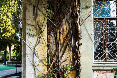 Similar image 22077182